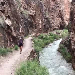 Meet your Posher, Dena